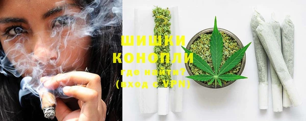 гашик Козловка
