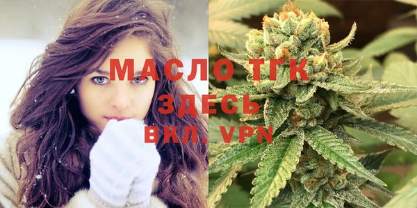 гашик Козловка