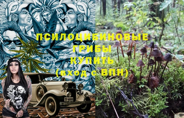 не бодяженный Кодинск