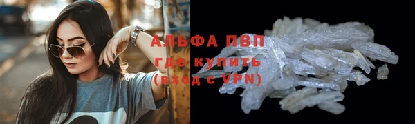 гашик Козловка