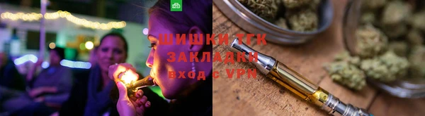 гашик Козловка