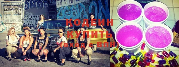 гашик Козловка