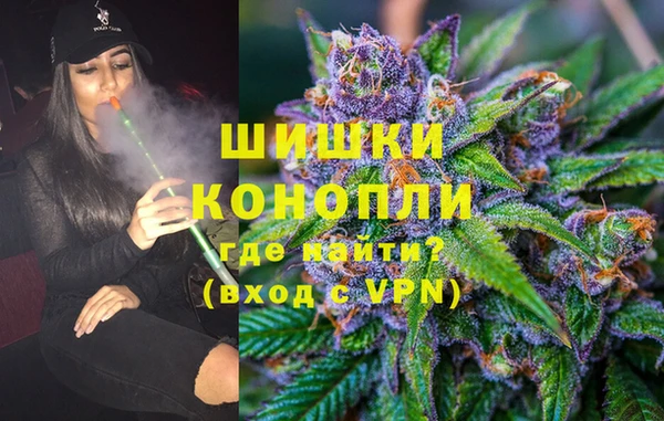 гашик Козловка