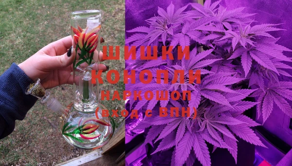 мдпв Семилуки