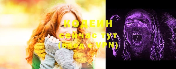 гашик Козловка